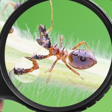 확대경 손잡이 돋보기 독서 작업 노안 확대 정밀, 1개, LED왕돋보기