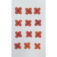 押花材料 染色花材 DIY手工藝裝飾, s-45