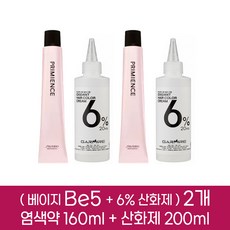시세이도 프리미언스 뉘앙스 염색약 Be5 2개분 ( 1제 160g + 2제 6% 산화제 200ml ), 2개