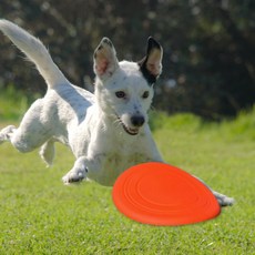 강아지원반 애견프리스비 반려동물 던지기장난감