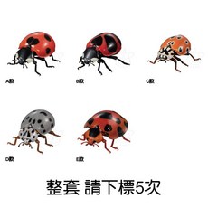 BANDAI 轉蛋 扭蛋 生物大圖鑑 進擊 瓢蟲篇2 昆蟲圖鑑 生物模型 (全5款), 1個, 整套(金額1800，下X5) 23B13