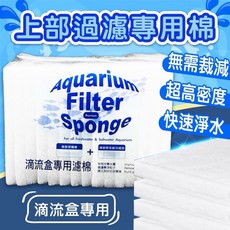 一心 水族 上部過濾專用棉 滴流棉 白棉 過濾棉 上部過濾 底部過濾 滴流盒, 1個