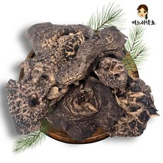 며느리약초 자연산 능이버섯 A급 (특품) 건조 100g, 1개
