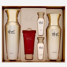 코리아나 자인 생기2종 기획세트, 1개