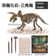 3D考古恐龍化石挖掘玩具, 超級三角龍套裝-超豪華配置版, 1個