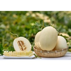 동명팜 금산 수신메론 멜론 고당도 국산 백자 홈런왕, 3kg (2-3수)