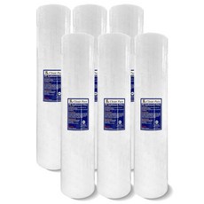 CLEAN PURE 20英吋大胖PP濾心 (NSF/SGS認證), 6個, 5微米