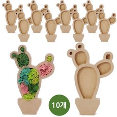 키득키득 WD1610 MDF 모스화분 선인장 모스이끼, 10개, 단일