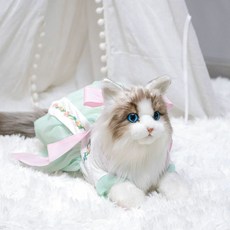 고양이 인형 소품 귀여운 장식품 인테리어 동물 애착인형 리얼, 6.녹색 한복 인형 고양이, 1개