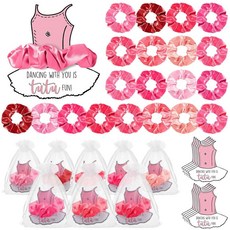 Yinkin 발레리나 파티 선물 손님을 위한 20세트 부드럽고 신축성 있는 헤어 타이 헤어 스크런치 발레 튀튀 재미있는 카드 오간자 가방 댄스 리사이틀 선물 여아용, 20