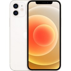 Apple 아이폰 12 미니 64GB (리퍼급) + 확실한 품질검수 및 전용패키지 [대단한형제들], 화이트 사은품 4개증정 안심포장패키지