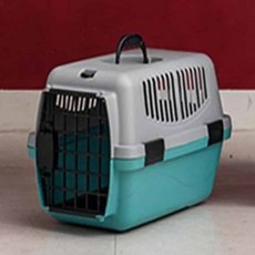 YST 필드 캐리어 이동장 민트