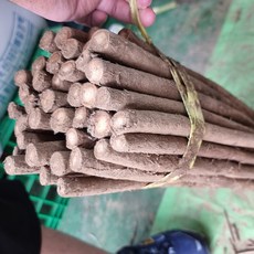 우엉 지원농산 국내산 생우엉, 중, 1kg