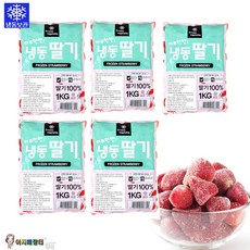 농우 빙채 하루한번 냉동딸기1KG 아이스딸기, 1kg, 5개