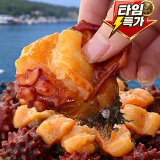 제철 통영 깐 멍게, 1박스, 500g