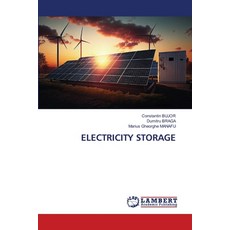 (영문도서)Electricity Storage Paperback, LAP Lambert Academic Publis..., English, 9786630230192