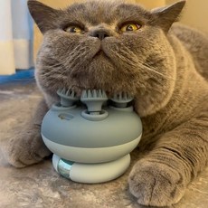 고양이 안마기 강아지 자장가 브러쉬 긁개 가려움증 반려동물 마사지기, 2. 핑크, 1개