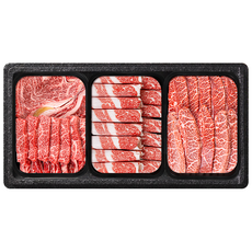 한우선물세트 소고기 갈비살 꽃등심 양지 채끝살 불고기 (주)성진한우, 알찬모둠세트750g(선물포장X), 1세트