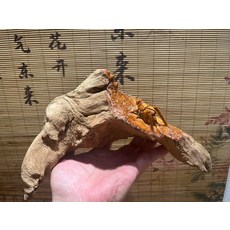 千年陳化太行崖柏 蟋蟀擺件, 如圖所示, 1個