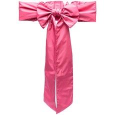 레드(V) 보우 디테일 벨트