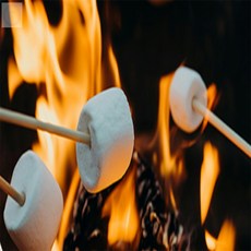 마켓윤 대나무 꼬지 마시멜로꼬챙이, 100P