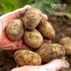 포슬포슬 맛좋은 국내산 감자 3kg-10kg 크기별, 05.감자 3kg 조림용, 3kg, 1개
