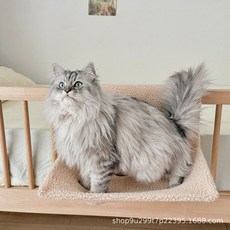 跨境寵物貓咪吊牀羊羔絨長毛絨懸掛式耐磨耐抓可拆卸鋼架睡袋保暖, 1個, 46*36CM半圓