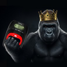 드레텍 악력측정기, 1개, 블랙