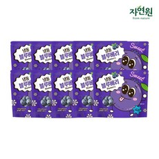 자연원 소포장 냉동블루베리, 10개, 150g