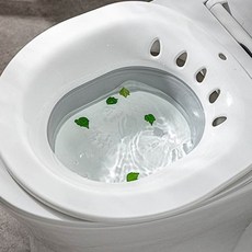 좌욕기 실내용 엉덩이 대야 69967EA 1(EA), 접이식좌욕기