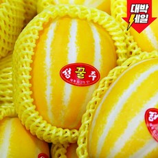 당일수확 고당도 성주 참외 가정용 혼합과, 1개, 혼합과 1kg