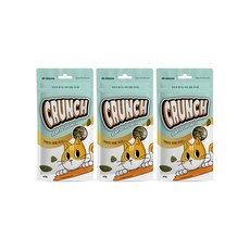[썬더펫] 닥터뮨 쿠앙 크런치 덴탈 치킨 양치껌 고양이껌, 40g, 3개 40g, 3개
