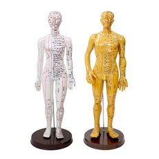 人體穴位模型 全身十二經絡銅人練習人偶模特，精準穴位標示，附穴位圖, 銅色（手臂轉）女52CM超清大字