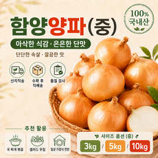 [산지직송] 단단한 햇 함양양파(중) 가정용, 1개, 함양양파 3kg(중)