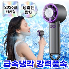 모르닌 3초 급속 냉각 손선풍기 초강력 무소음 손풍기, 퍼플그레이, 모르닌 3초냉각 손풍기
