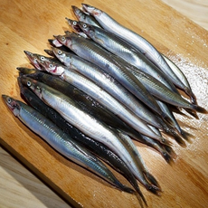 당일조업 산지직송 제철별미 생물 양미리, 1박스, 40미