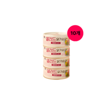 사조 샐러드(살사) 닭가슴살 135g, 10개