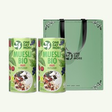[원데이모어] 뮤즐리 2개 세트 선물 그래놀라 오트밀 선물세트 쇼핑백포함, 유기농과일뮤즐리 2개