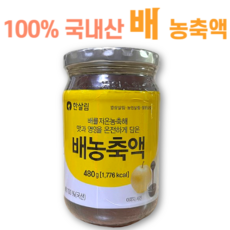 한살림 100% 국산 배 농축액, 480g, 2개