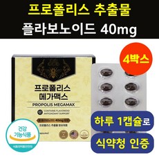 프로폴리스 원액 식약청인증 헬시위듀 플라보노이드 항산화영양제, 4박스, 90정