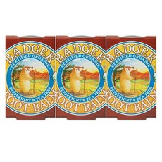 뱃저 풋 발 밤 페퍼민트 티 트리 Ess 21G 3개