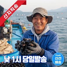 어부의뜰 국산 홍합 자연산 피홍합 손질 생 세척 다듬이, 1개, 3kg
