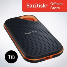 샌디스크 익스트림 프로 포터블 SSD SDSSDE81, 1024GB