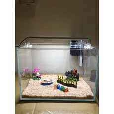 邦邦水族 一尺鄉間小路 超白套缸組 (夾燈), 1個