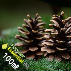 K007 시더우드 100ml (Cedar Wood Essential Oil) 천연에센셜 오일 보급형 원액 아로마, 1개