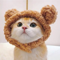 고양이 곰돌이모자 반려동물 셀피 인형모자, 1개, 브라운