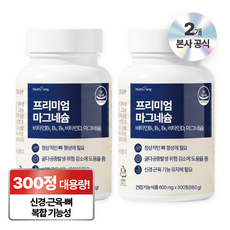 뉴트리정 프리미엄 마그네슘 대용량, 2개, 300정