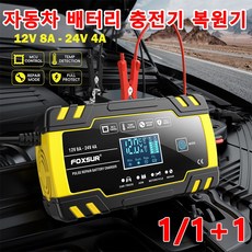 1/1+1 만능 12V 24V 자동차 오토바이 배터리 충전기 복원기 펄스 수리, 170mm, 1개