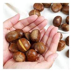 월드생율 1kg x 2