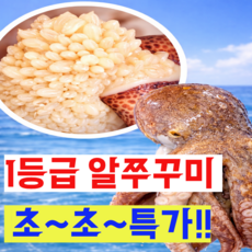 [1등급a급주문폭주] 알쭈꾸미 알배기쭈꾸미 쭈꾸미, 1개, 2kg(알쭈꾸미A급)